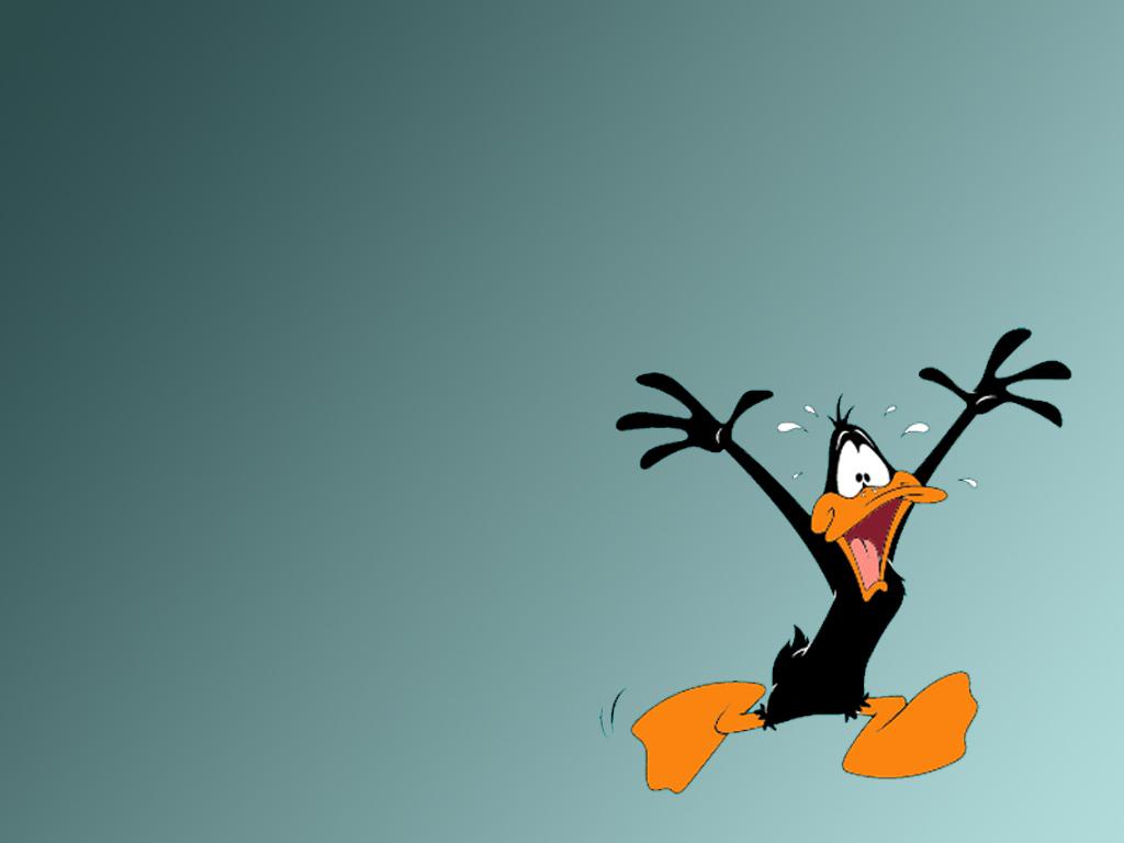 Daffy fond d ecran